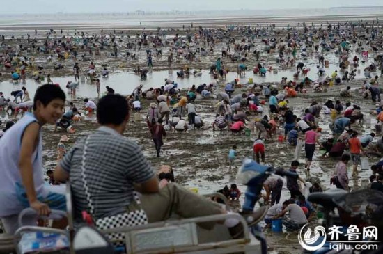 远古海滩人口普查_远古海滩:-人口普查 猎人跃居为国服第二大职业(2)