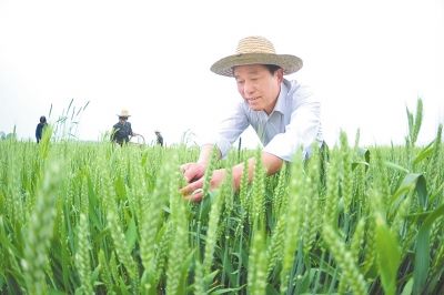 追记唐河县湖阳镇陈营移民新村党支部书记陈廷江