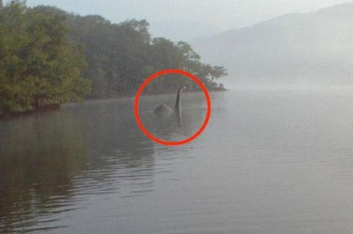 英摄影师意外拍到疑似尼斯湖水怪深水生物(图)