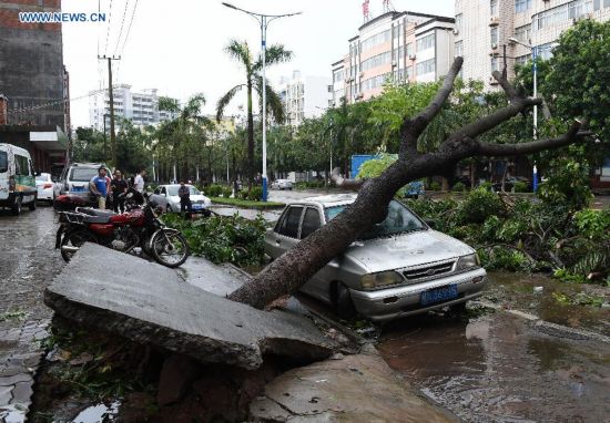 CHINA-GUANGXI-TYPHOON KALMAEGI-HAVOC (CN)