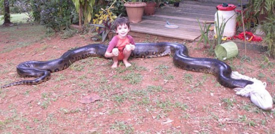 国外教师河中捕获巨型蟒蛇引孩子围观【7】