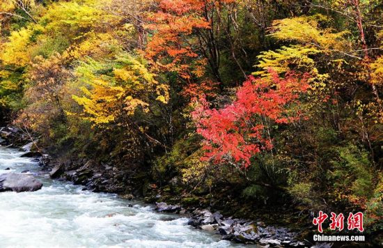 Picturesque scenery in Sichuan