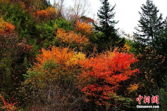 Picturesque scenery in Sichuan