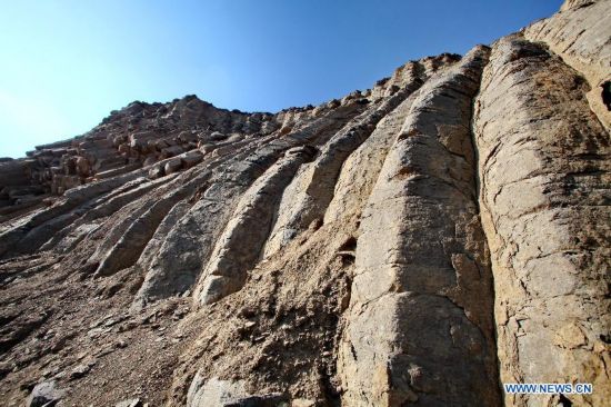 Photo taken on Oct. 19, 2014 shows the basalt columns in Zhangbei County, north China's Hebei province. A large amount of basalt columns was discovered here recently, which is considered to be formed in miocene times. (Xinhua/Yang Shiyao)