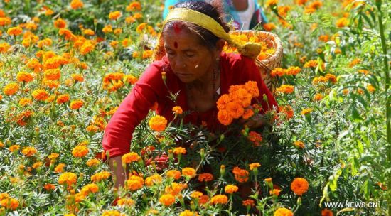 Daily life of people in Kathmandu - People's Daily Online