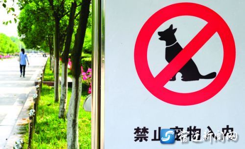 宿迁出台最严"治犬令" 每天早晚共4小时禁遛狗