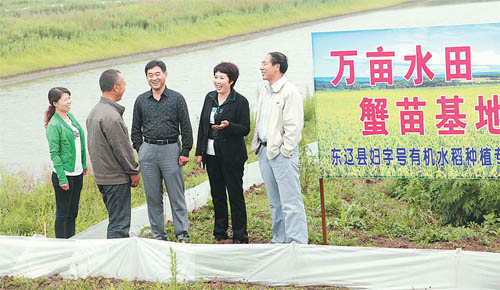 吉林省东辽县安石镇朝阳村"两委"干部查看水田蟹苗基地建设情况.