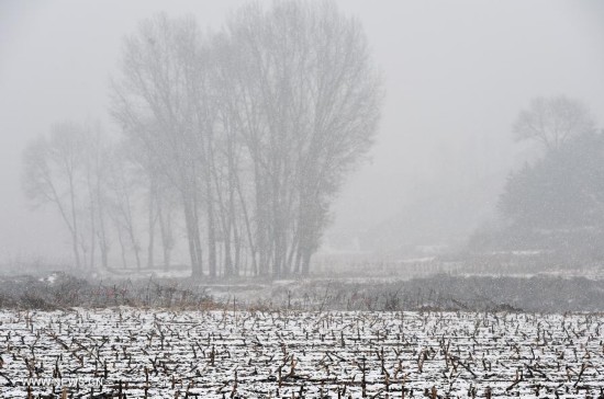 **CHINA-SHANXI-SNOWFALL (CN)