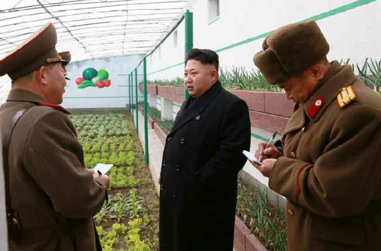 2019朝鲜人口_...据朝中社报道,在2019年新年之际,朝鲜最高领导人金正恩1日前往