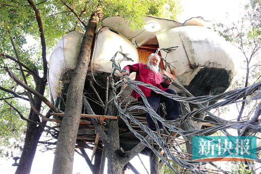 图:年逾花甲根雕大师隐居树上 建造三室一厅