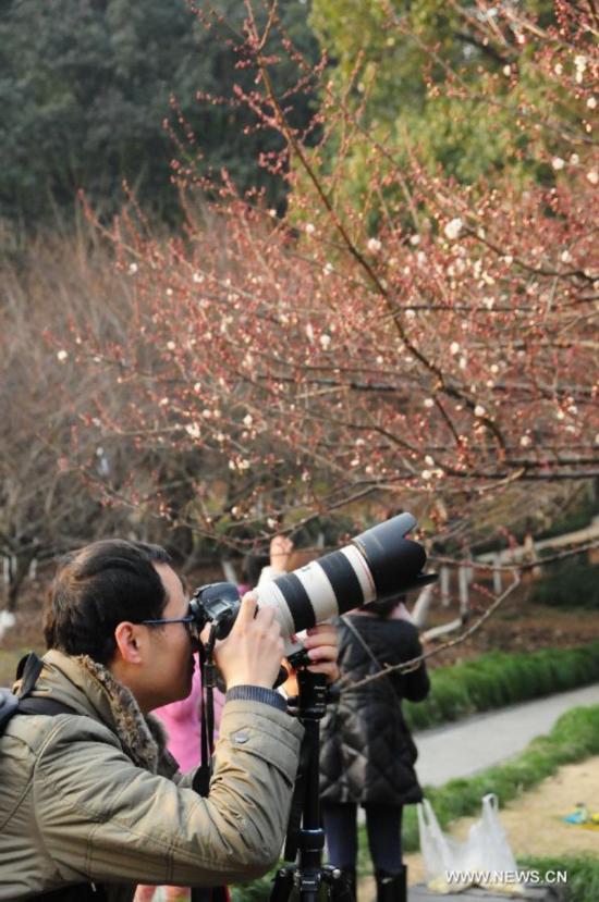 CHINA-ZHEJIANG-PLUM BLOSSOM (CN)