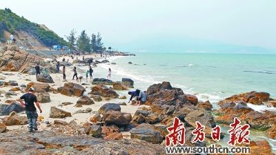 南澳大鹏海鲜餐厅_南澳海鲜街宰客素材|南澳海鲜一条街|清明深圳大鹏南澳双拥码头...(2)