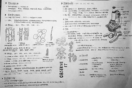 初三学生将生物笔记画成画 好玩有趣又实用(图