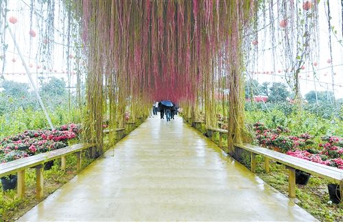 城建旧改展新貌生态农业促发展-装修图网-装修