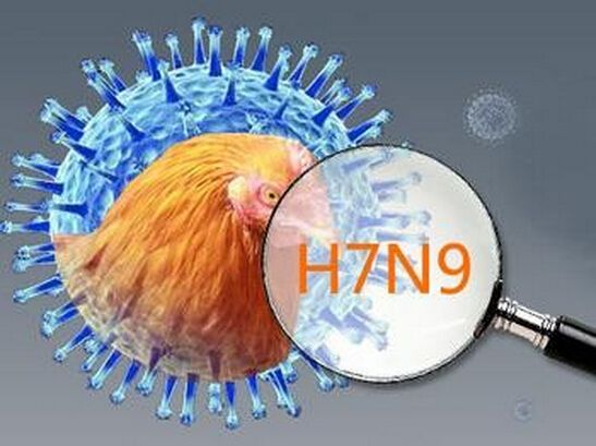 禽流感最新消息:浙江确诊H7N9病例22例存散发