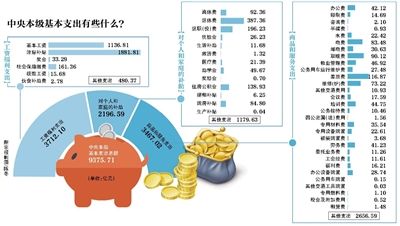 中央本级支出预算首晒工资福利总额