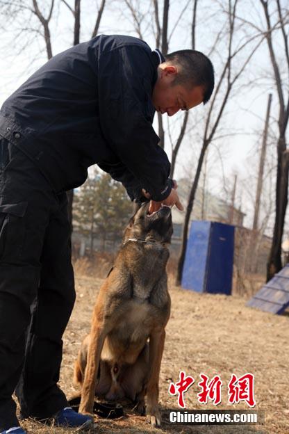 警犬"追风"和训导员"妈妈"