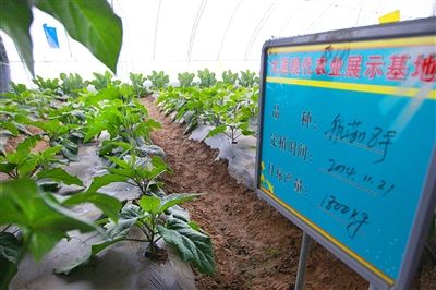 西宁民营经济将迎又一春天