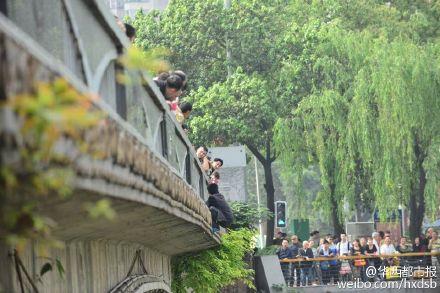 成都一男子欲跳桥 围观者:快跳水浅淹不死