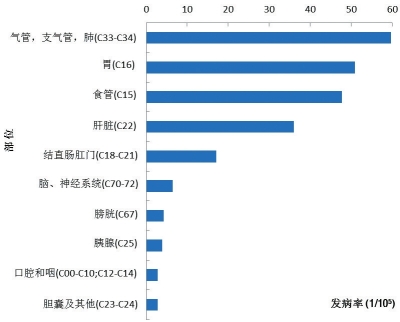 肺癌居河南十大高发肿瘤首位 女性比男性更抗癌