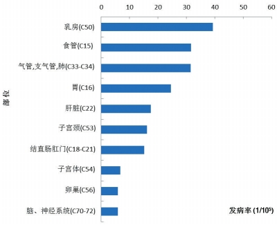 肺癌居河南十大高发肿瘤首位 女性比男性更抗癌