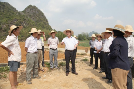 "双高"基地建设时强调       5月4日,龙州县委书记秦昆率队深入武德乡