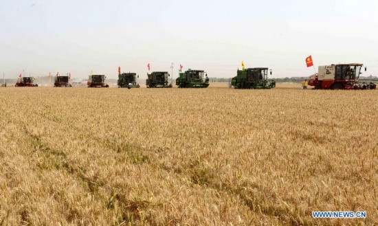 CHINA-HEBEI-WHEAT HARVEST (CN)