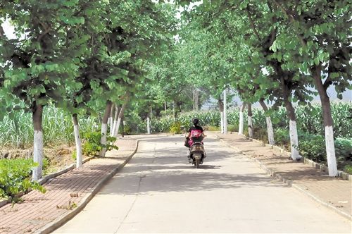 南宁市青秀区:畅通乡村路 铺就致富路