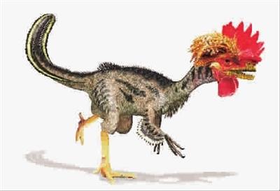 加拿大科学家欲通过基因改造 将鸡培育成恐龙