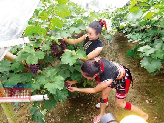 父亲节端午节旅游活动丰富 选好短线游陪父母