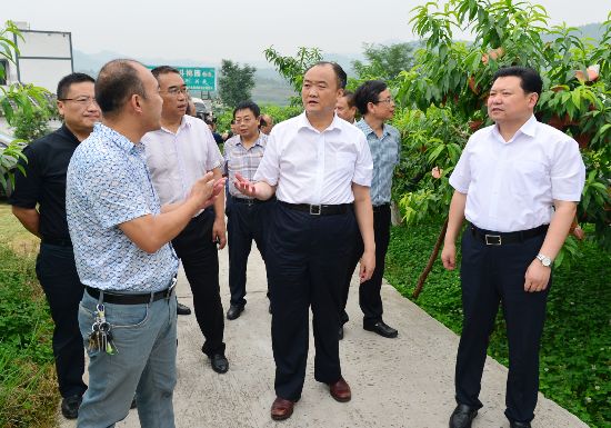 南充市委书记李仲彬在西充县调研现代农业发展情况