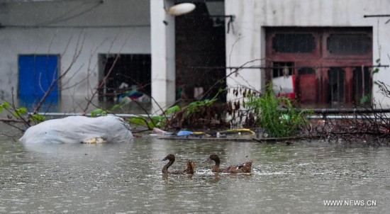 Heavy rainstorms have affected about 65,000 people in the city, causing damages worth over 410 million yuan (about 66 million U.S. dollars). 