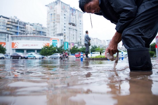 西昌市区人口_西昌市 人口地理-西昌市(2)