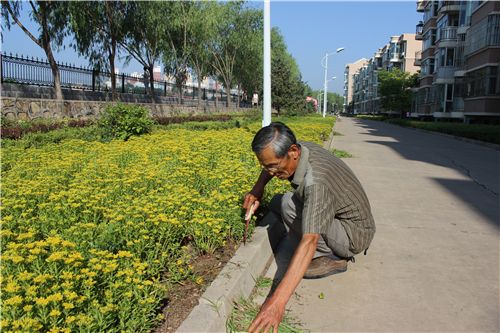 　　2014年，一直坚持打工助学的刘显亮正在劳动中。图片来源：鄂尔多斯文明网