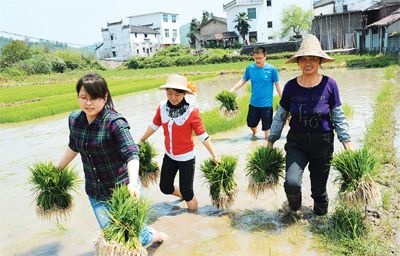 江西上饶市实行党员义工制度:服务在身边 点滴