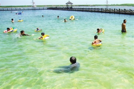 “上海最大露天游泳池”屢被曝光仍在無證運營