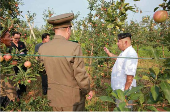 金正恩视察大同江果树综合农场 称赞水果大丰