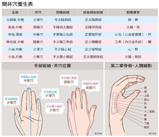 脾;食指的商阳穴对应大肠,胃;中指的中冲穴对应心包,肝;无名指的关冲