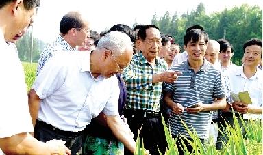 袁隆平首招3名弟子 有望提前实现"总理任务"