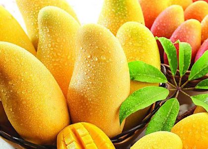 芒果不能和什么一起吃?芒果能防癌改善大脑