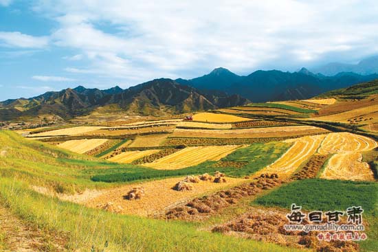 白露节气到来 民乐县一派丰收景象(图)