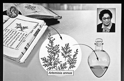 85岁中国药学家屠呦呦获诺奖 全球数亿人受益