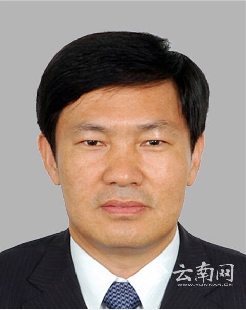 历任景东县科技副县长(挂职),省公路局计划统计处副处长,处长,省公路