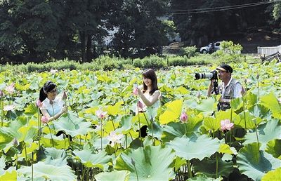 武夷山:推出全域旅游概念 打造旅游产业升级