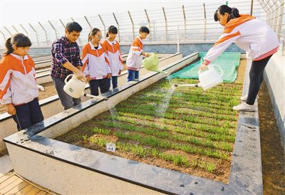 河南郑州:校园里的"开心农场"