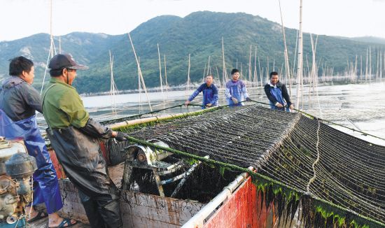 浙江海鲜菜_浙江宁波菜市场高档海鲜价格噌噌涨常规海鲜变化不大