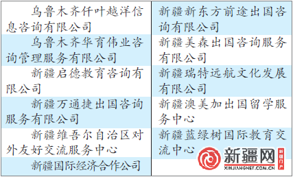 新疆11家自费出国留学中介机构获资质--新疆频