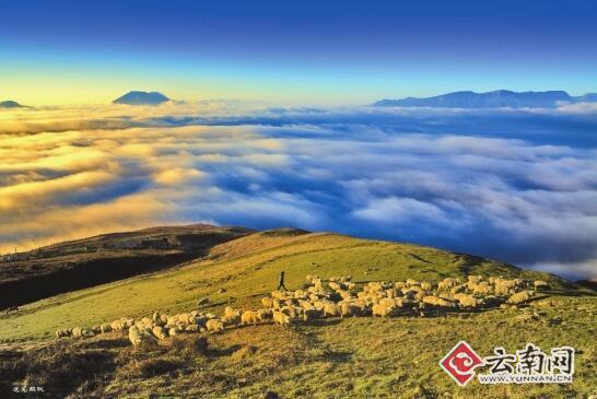 永善马楠山    永善县马楠乡云海早已声名远扬,成为摄友津津