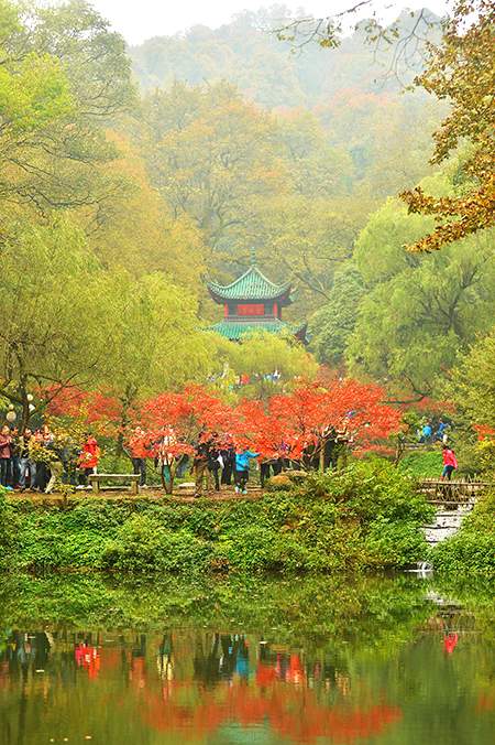 麓山枫红 层林尽染