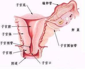 央视前主播方静癌症去世 盘点女人最易患4种癌